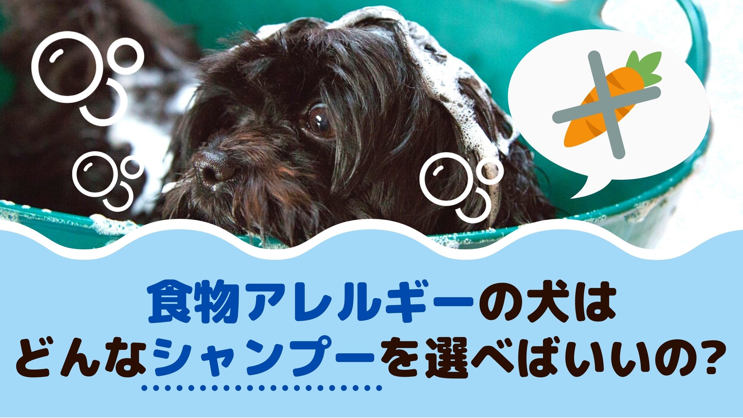 食物アレルギーの犬はどんなシャンプーを選べばいいの 動物看護師が解説 愛犬との旅行ならイヌトミィ