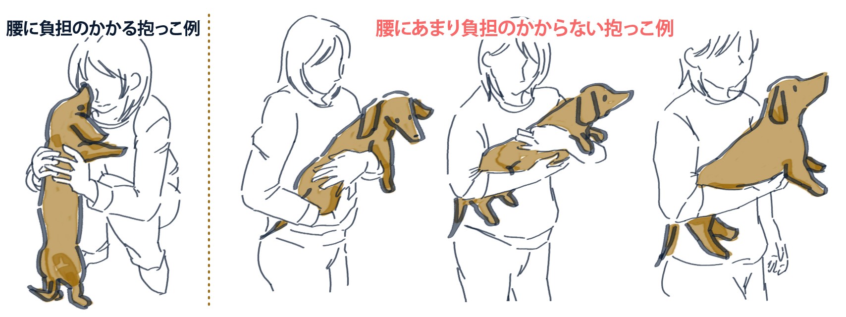 子犬に多い骨折 愛犬に辛い闘病生活をさせないために気をつけること 動物看護師が解説 愛犬との旅行ならイヌトミィ