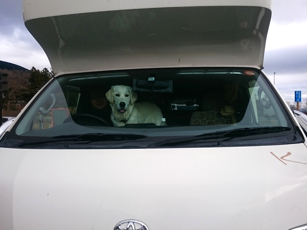 愛犬と一緒に車中泊旅行 楽しみ方と守るべきマナーとは 愛犬との旅行ならイヌトミィ