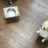 可愛くて持ち運びも可能！３COINS（スリーコインズ）の犬用フードテーブルレビュー