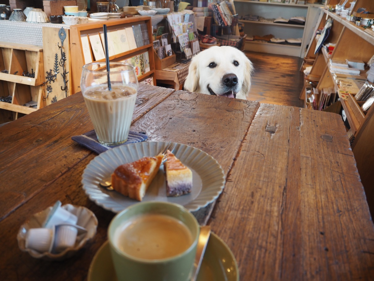 犬 も 入れる カフェ