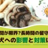 何時間が限界？長時間のお留守番、愛犬への影響と対策は？【動物看護師が解説】