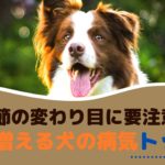 季節の変わり目に要注意！秋に増える犬の病気トップ5【動物看護師が解説】