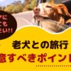 老犬との旅行！注意すべきポイントは？【動物看護師が解説】