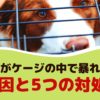 犬がケージの中で暴れる！原因と5つの対処法【動物看護師が解説】