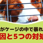 犬がケージの中で暴れる！原因と5つの対処法【動物看護師が解説】