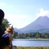 愛犬と一緒にボートに乗れちゃう！秋の志高湖（しだかこ）で紅葉鑑賞とピクニック＜大分県別府市＞