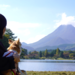 愛犬と一緒にボートに乗れちゃう！秋の志高湖（しだかこ）で紅葉鑑賞とピクニック＜大分県別府市＞