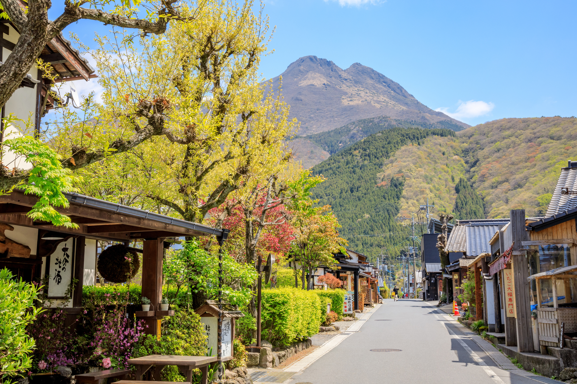 愛犬と湯布院旅行「湯の坪街道」街歩き！おすすめスポット3つご紹介 - 愛犬との旅行ならイヌトミィ