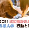 差はココ！犬に好かれる人と嫌われる人の行動と特徴【動物看護師が解説】