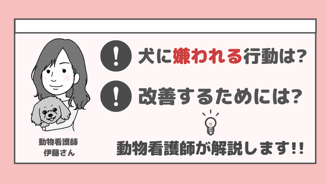 差はココ 犬に好かれる人と嫌われる人の行動と特徴 動物看護師が解説 愛犬との旅行ならイヌトミィ