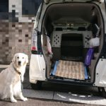 いつまでも自分の足で歩くために。大型犬にはスロープ付き福祉車両がおすすめ！