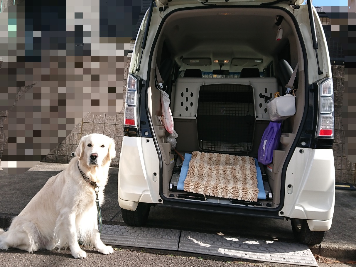 いつまでも自分の足で歩くために 大型犬にはスロープ付き福祉車両がおすすめ 愛犬との旅行ならイヌトミィ