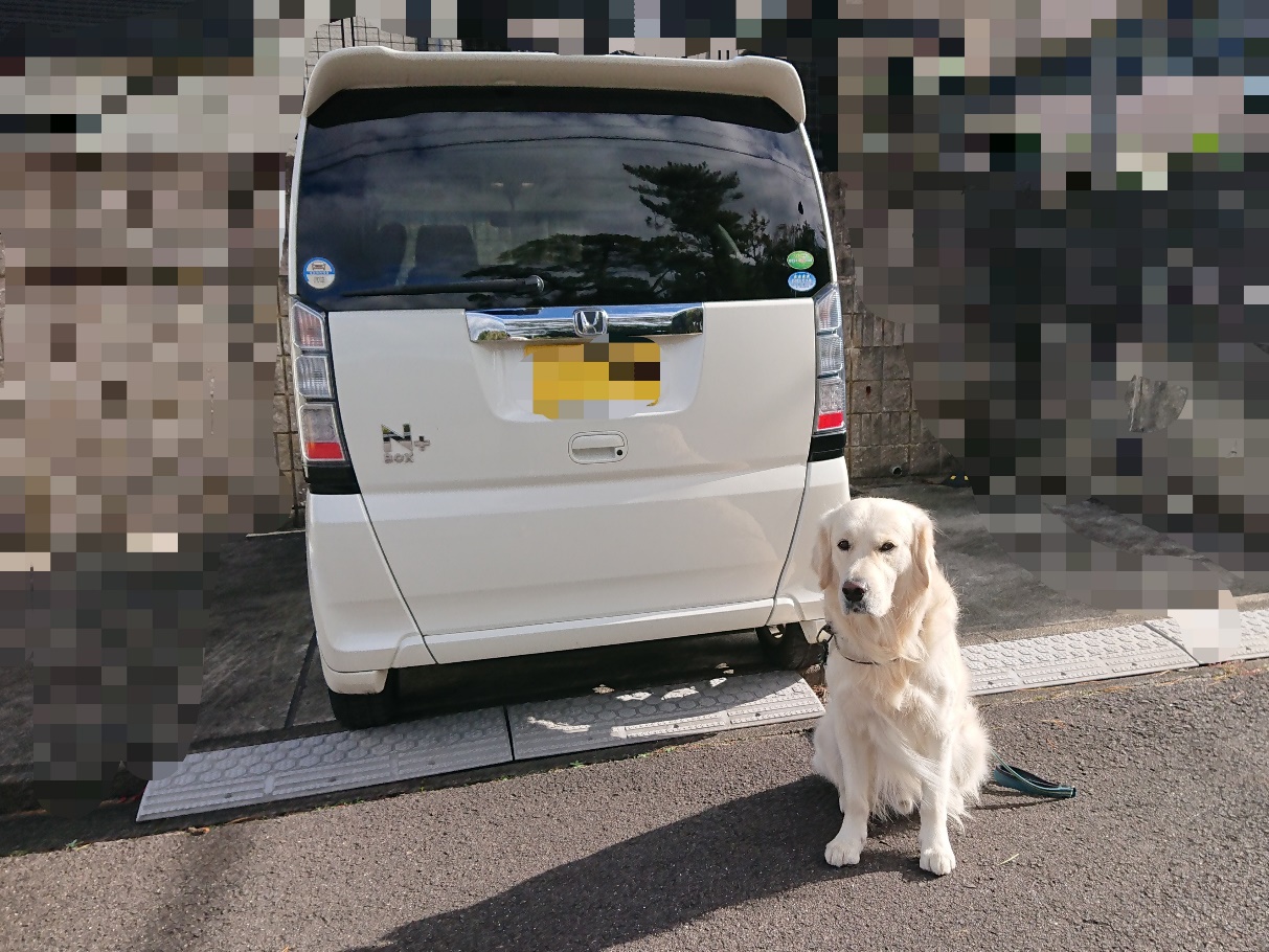 いつまでも自分の足で歩くために 大型犬にはスロープ付き福祉車両がおすすめ 愛犬との旅行ならイヌトミィ