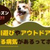 愛犬とのレジャー！川遊びやアウトドアで感染する病気があるってホント？【動物看護師が解説】