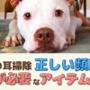 愛犬の耳掃除の正しい頻度は？注意が必要な洗浄アイテムって何？【動物看護師が解説】