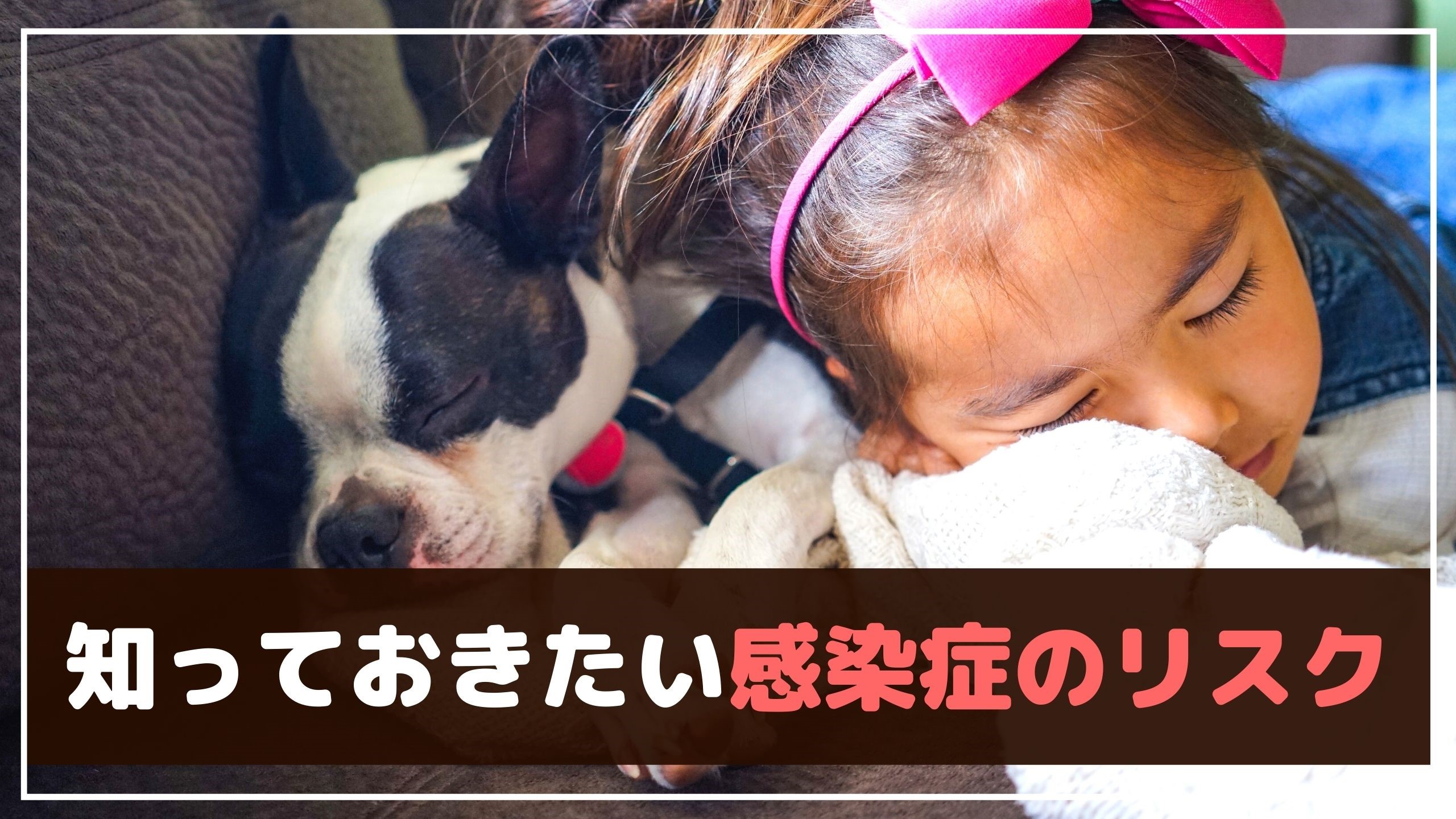 実は危険もいっぱい 赤ちゃんと犬が良い関係を築くために大切な事 動物看護師が解説 愛犬との旅行ならイヌトミィ