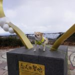 愛犬とのドライブ休憩におすすめ！別府湾サービスエリア＜大分県別府市＞