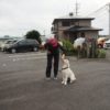 家庭犬だからこそ、考えたい！ドッグトレーニングのススメ