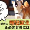 どうしてなおらないの？愛犬に無駄吠えを止めさせるには？【動物看護師が解説】