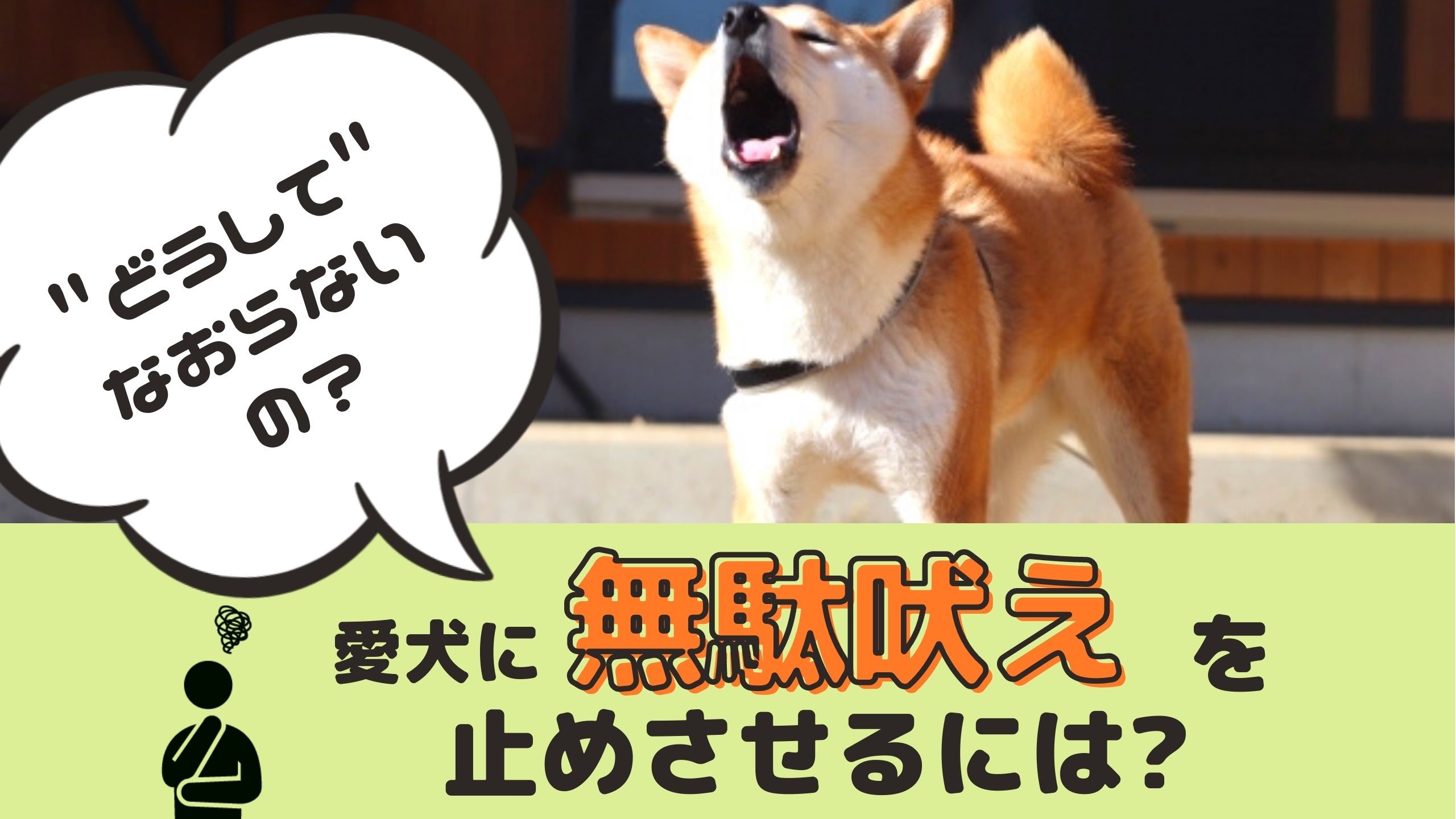 どうしてなおらないの 愛犬に無駄吠えを止めさせるには 動物看護師が解説 愛犬との旅行ならイヌトミィ