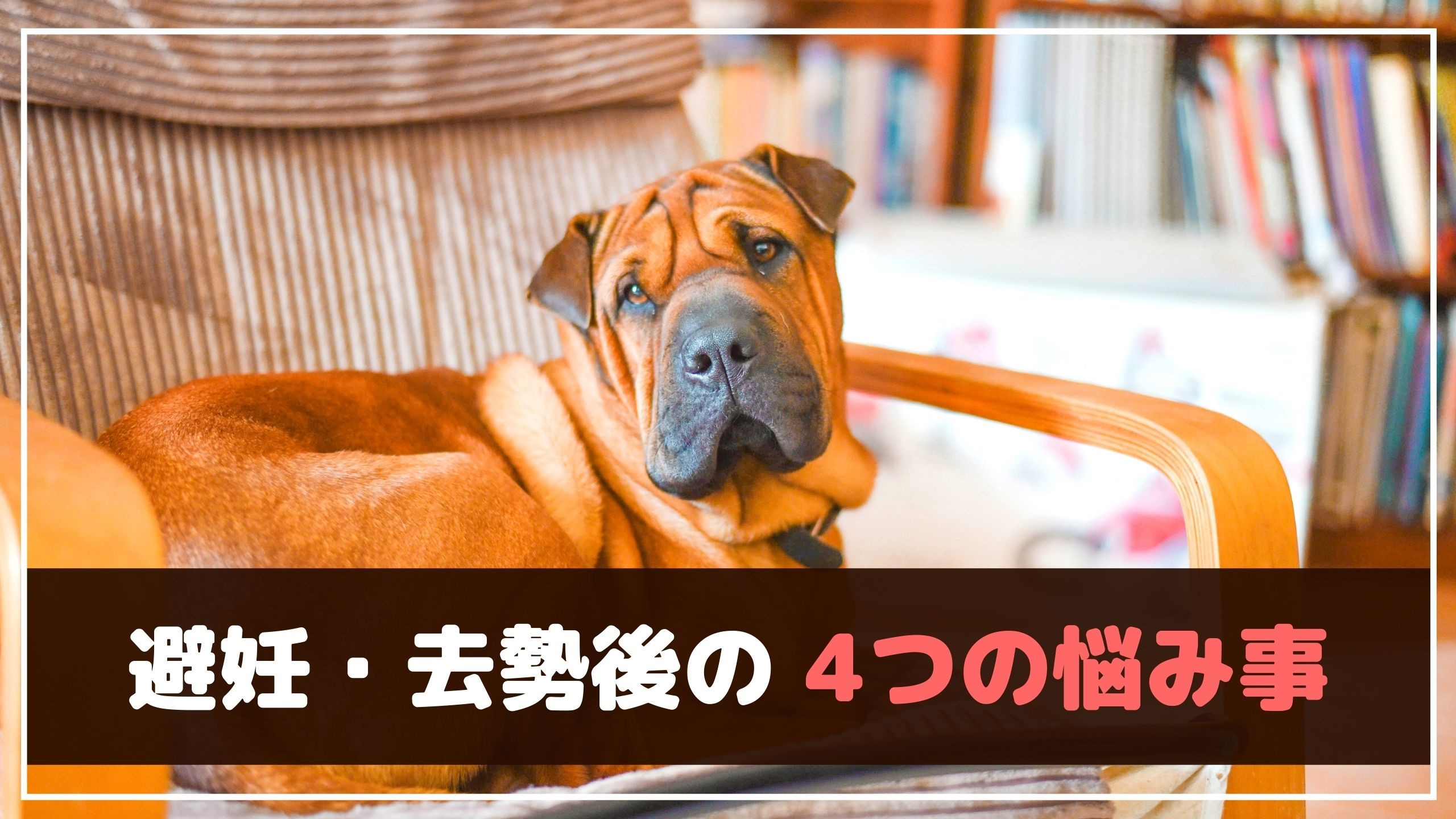 犬 避妊手術後 元気ない