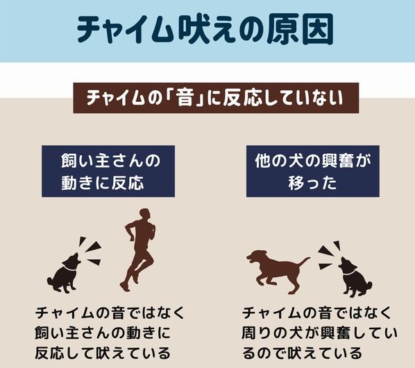 愛犬がチャイムに吠えて困る 犬が吠えなくなるしつけをご紹介 動物看護師が解説 愛犬との旅行ならイヌトミィ