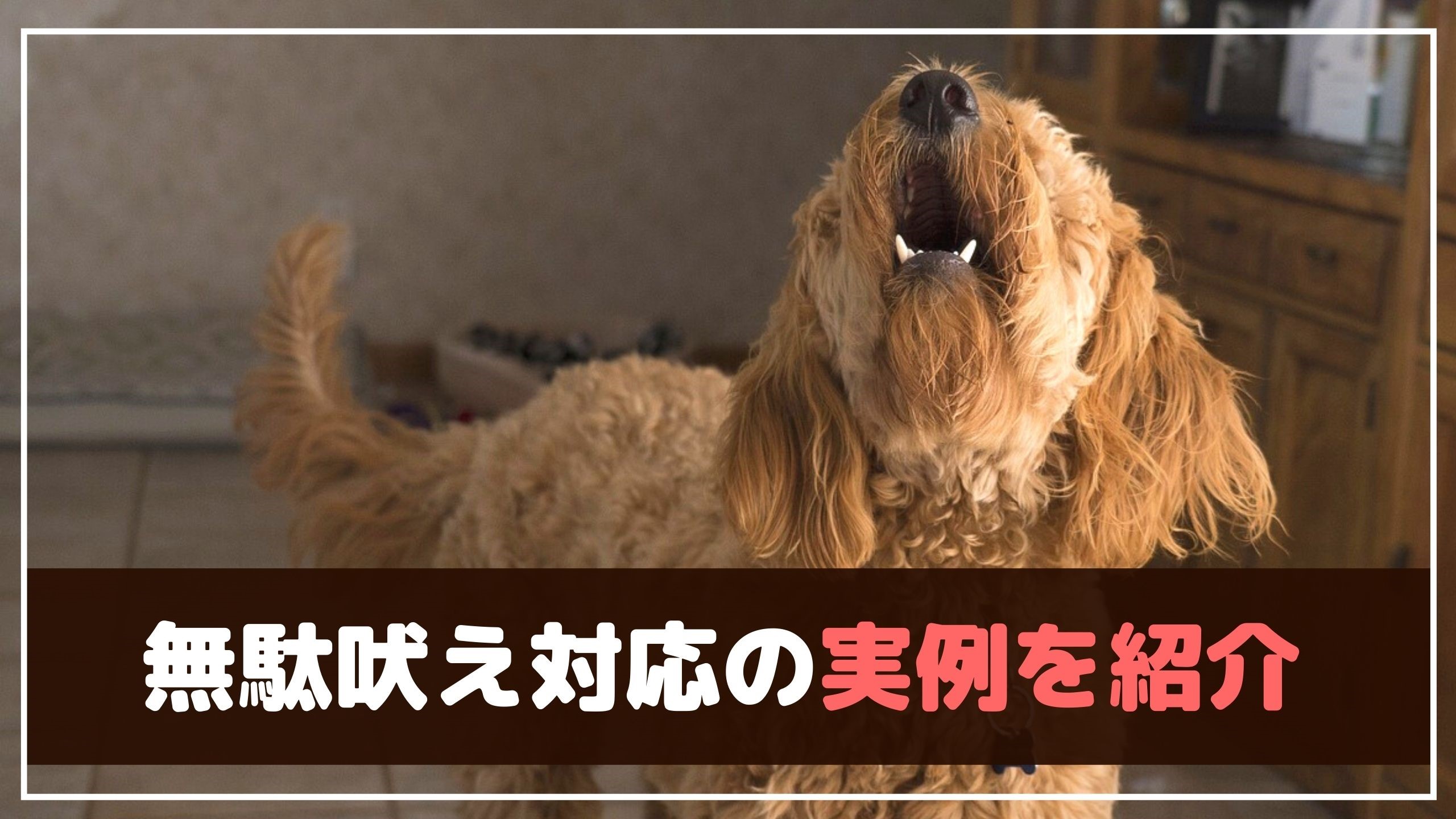 どうしてなおらないの 愛犬に無駄吠えを止めさせるには 動物看護師が解説 愛犬との旅行ならイヌトミィ