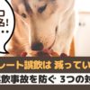 犬のチョコレート中毒は2月が最多！誤飲事故を防ぐためには？【動物看護師が解説】