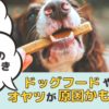 犬の耳垢の原因ってなに？ドッグフードやオヤツが影響してるってホント?【動物看護師が解説】