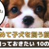 初めて子犬を飼う前に知っておきたい10の大切なこと【動物看護師が解説】