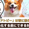 犬のアトピーは春に悪化する？！愛犬のために飼い主さんができる対策は？【動物看護師が解説】