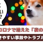 コロナ禍の今、愛犬の散歩で気をつけたいこと【動物看護師が解説】