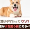 小型犬は飼いやすいってホント？初めて犬を飼う前に知るべきこと【動物看護師が解説】