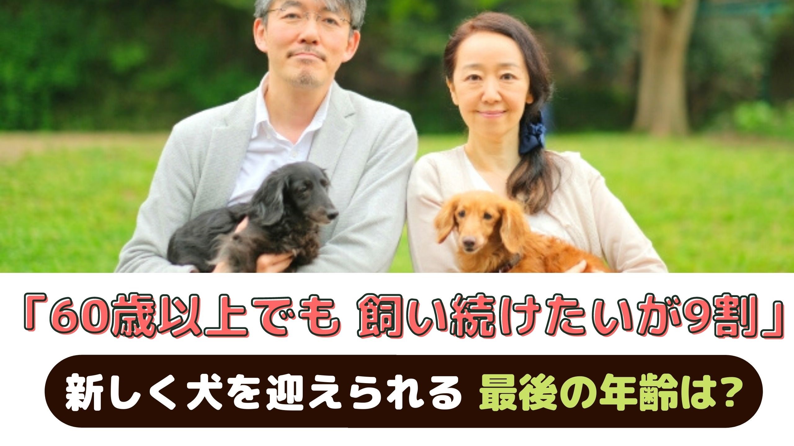 「60歳以上でもペットを飼い続けたい人」が9割！新しく犬を迎えられる最後の年齢は？【動物看護師が解説】 愛犬との