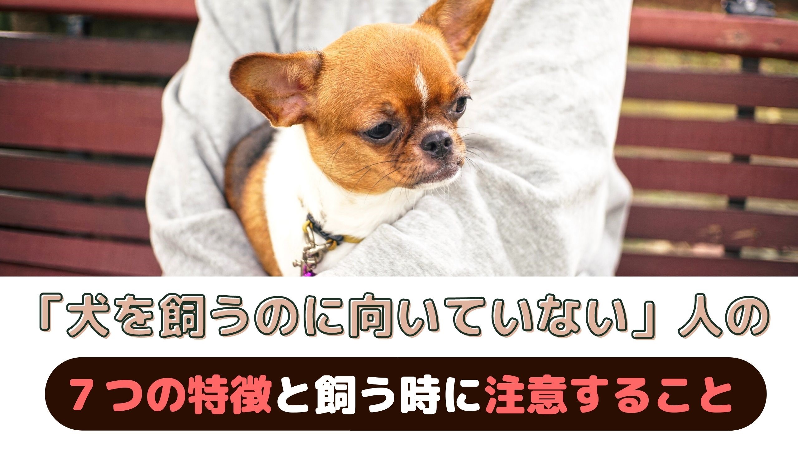 犬 を 飼っ て は いけない 家系