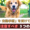 避妊・去勢手術を受けていない犬がかかりやすい病気と注意すること！【動物看護師が解説】