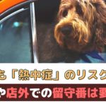 春でも熱中症のリスクあり！車内や外で犬を待たせるのは要注意【動物看護師が解説】