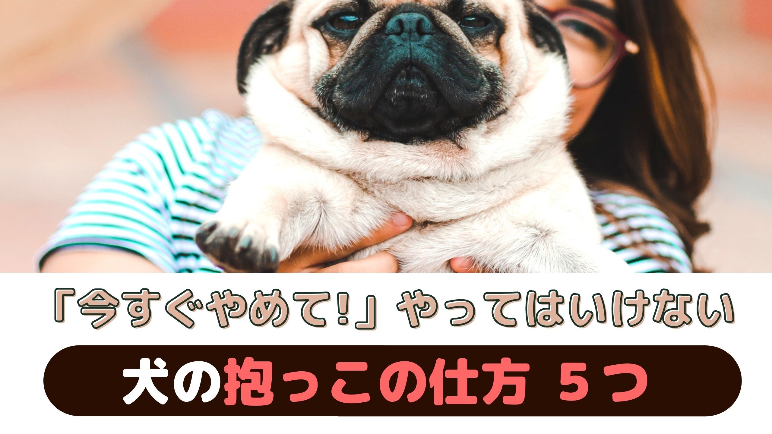 今すぐ止めて やってはいけない犬の抱っこの仕方 動物看護師が解説 愛犬との旅行ならイヌトミィ