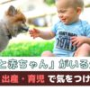 「犬と赤ちゃんがいる生活」妊娠・出産・育児で気をつけること【動物看護師が解説】