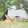 愛犬と一緒にキャンプを楽しもう！夏の暑さ対策に使えるプチプラグッズ