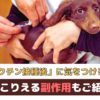 「犬のワクチン接種後に気をつけることは？」起こりうる副作用もご紹介【動物看護師が解説】