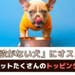 食欲がない犬にオススメ！メリットたくさんのトッピングご飯【動物看護師が解説】