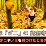 「秋はダニの発生時期」愛犬の体にダニやノミを見つけたときの対処法【動物看護師が解説】