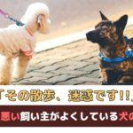 「その散歩、迷惑です!」マナーの悪い飼い主がよくしている犬の散歩4つ【動物看護師が解説】