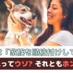 「犬は家族を順位付けしてる」それってウソ？ホント？【動物看護師が解説】