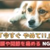 「今すぐやめて！」犬の腰や関節を痛めるNG習慣【動物看護師が解説】