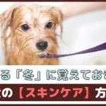 乾燥する冬に覚えておきたい！犬のスキンケア方法【動物看護師が解説】