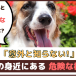 「意外と知らない！」犬の身近にある危険な植物【動物看護師が解説】