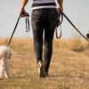 犬の散歩中によくあるトラブル５選とその対処法